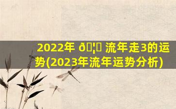 2022年 🦄 流年走3的运势(2023年流年运势分析)